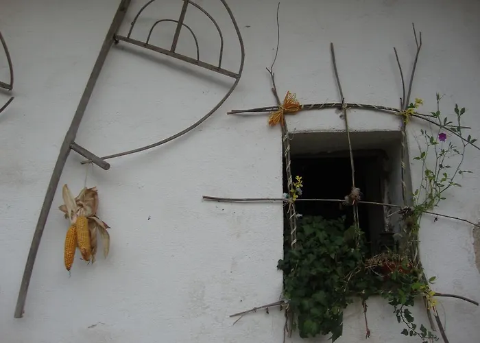 Гостевой дом Petrovicky Mlyn