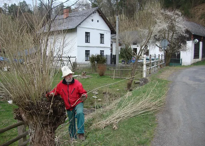 Petrovicky Mlyn Гостевой дом 3*