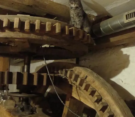 Гостевой дом Petrovicky Mlyn